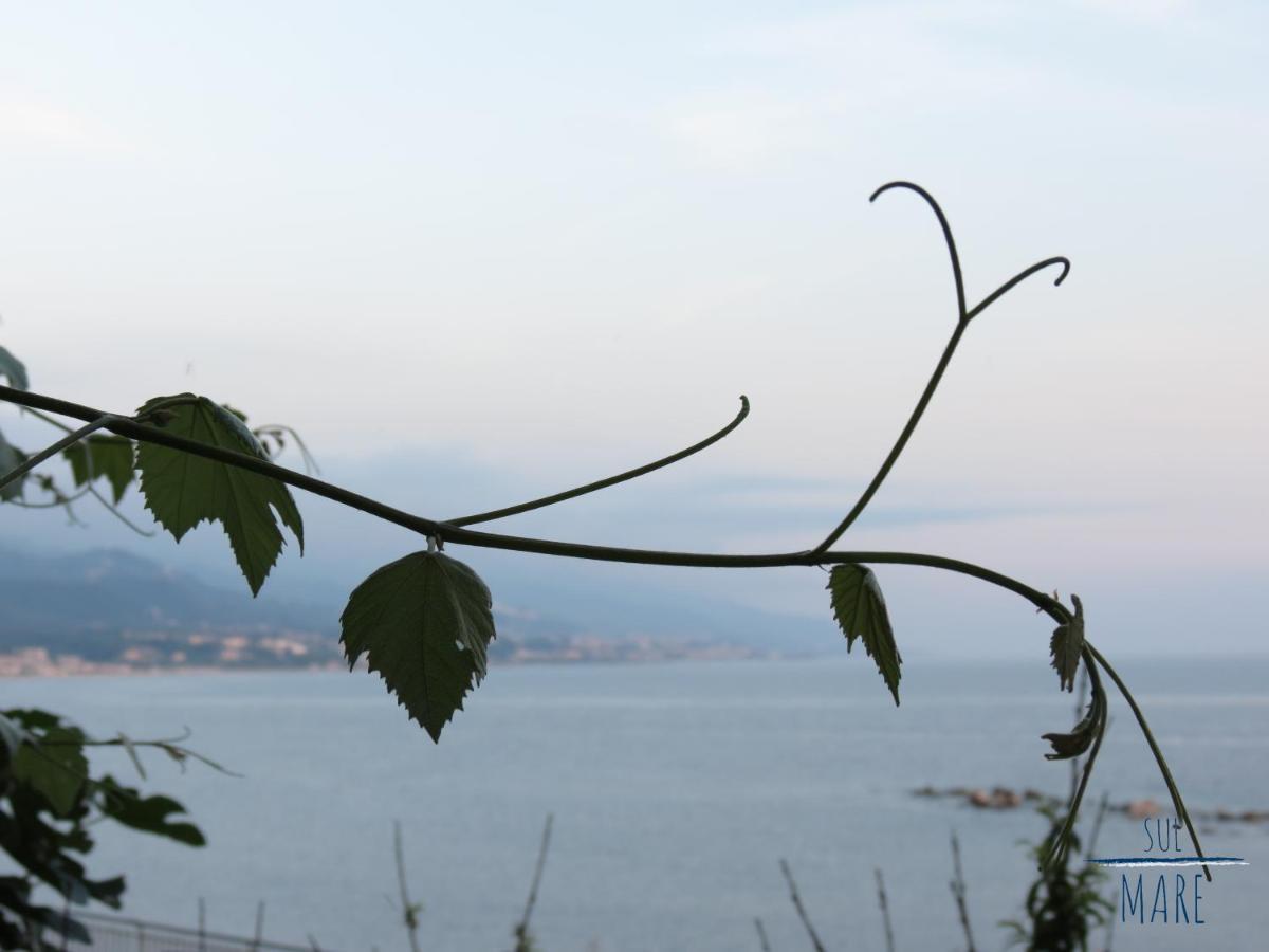 Sul Mare B&B Diamante Esterno foto